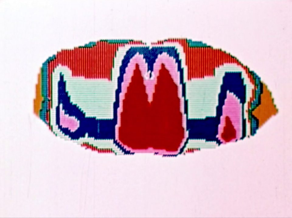 lillian schwartz's apotheosis